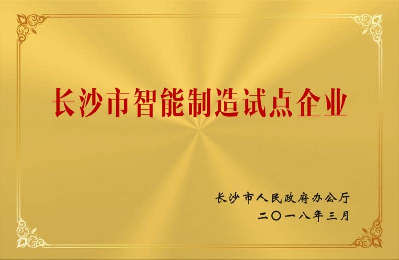 长沙市智能制造试点企业