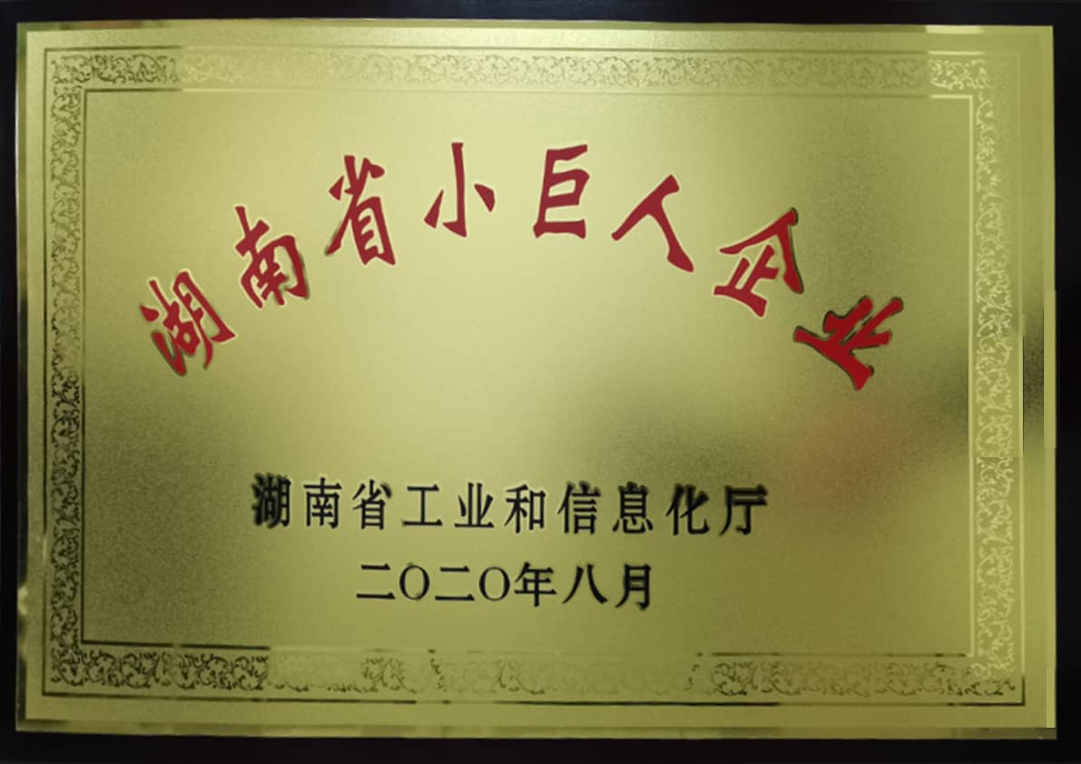 湖南省小巨人企业