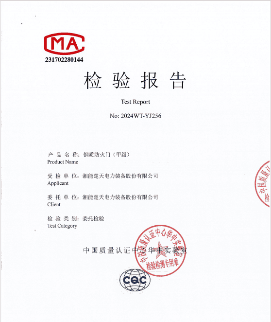 检验报告（钢质防火门 耐火性能检测   2024WT-YJ256）
