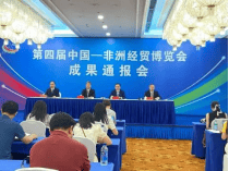 集团董事长陈伟其：中非经贸合作新机遇，共筑全球新能源未来