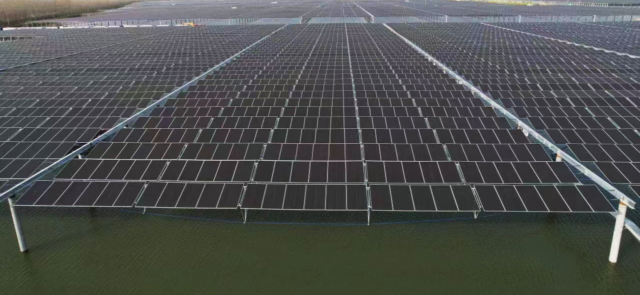 1654487718120011.jpg 2.jpg